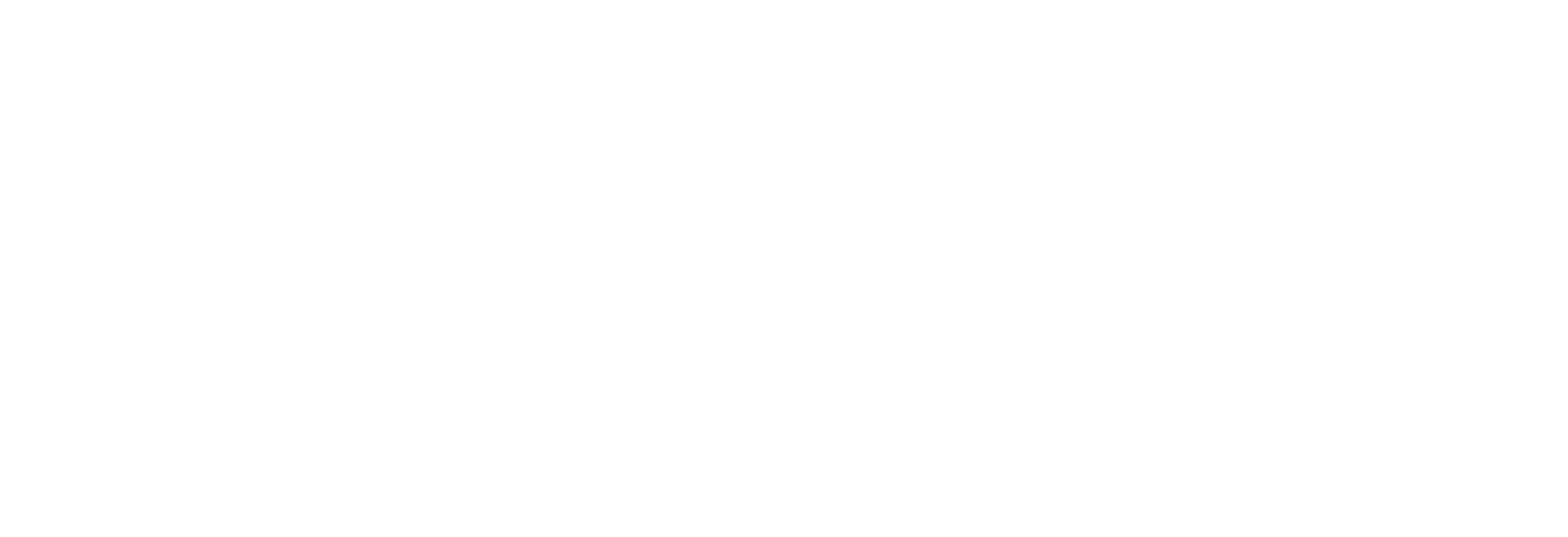תותי אבירן - מאמנת ומטפלת